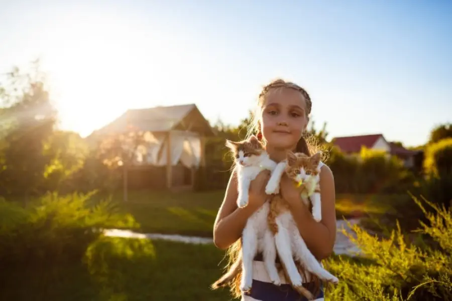 Quale animale domestico per i bambini? Cane o gatto?