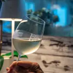 La fama del Prosecco nel mondo: quante bottiglie vengono vendute