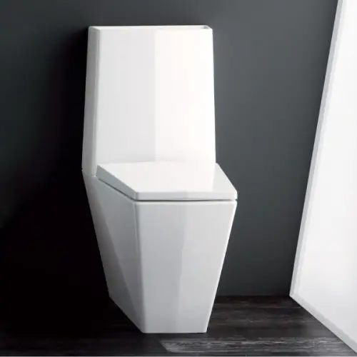 Scelta del wc: perché preferire quelli con cassetta incorporata