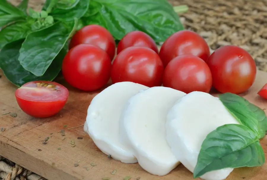 Mozzarella dop, la regina dei formaggi a pasta filata