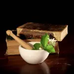 Le migliori erbe per purificare il fegato 