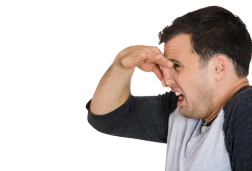 Feci maleodoranti: cause comuni e come contrastarle