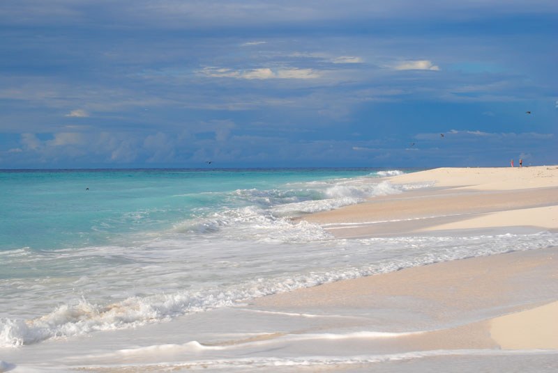 Idee per le prossime vacanze: soggiorno in guest house alle Maldive