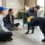 Come scegliere il cane per fare pet therapy