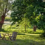 Mobili per l'arredo giardino: tra stile e sostenibilità
