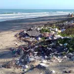 Come ridurre l’uso della plastica in 5 mosse