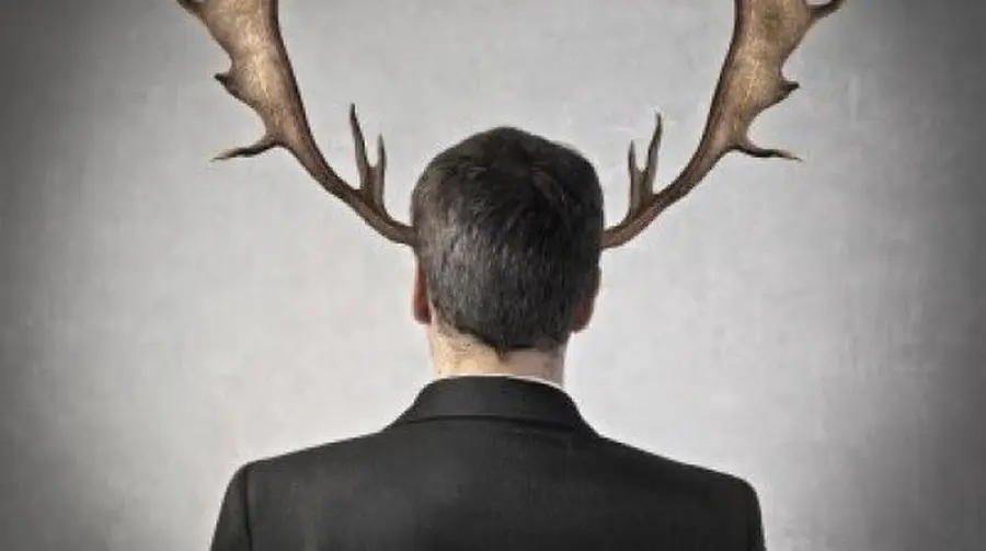 Perché San Martino è la festa dei cornuti: scopriamolo insieme