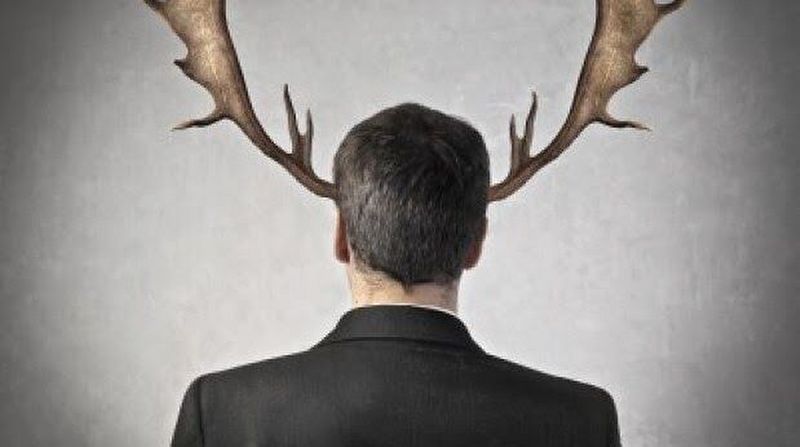 Perché San Martino è la festa dei cornuti: scopriamolo insieme